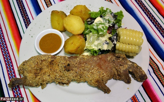 تصاویر/ چندشآورترین غذاهای دنیا