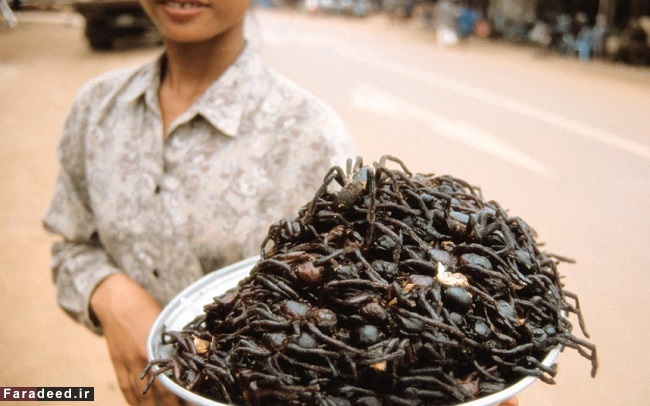 تصاویر/ چندشآورترین غذاهای دنیا