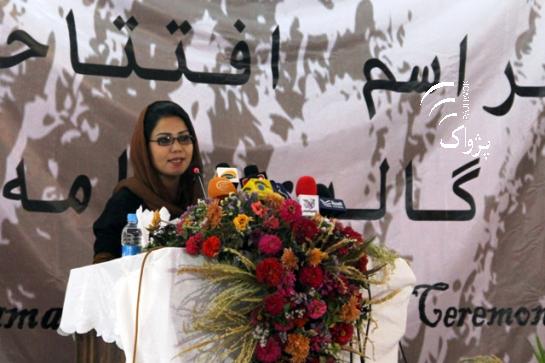 اولین نگارستان هنرهای معاصر افغانستان در کابل گشایش یافت